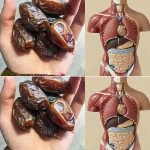 9 Reasons Why You Should Be Eating More Dates